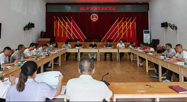 人民政府在社會(huì)經(jīng)濟(jì)咨詢(xún)服務(wù)中的角色與功能